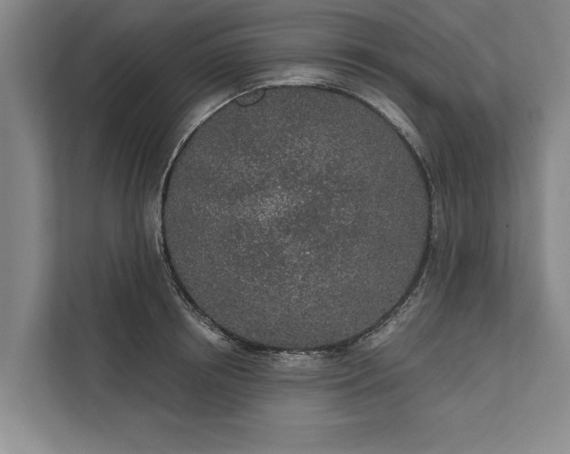 X0000112380850200908271318