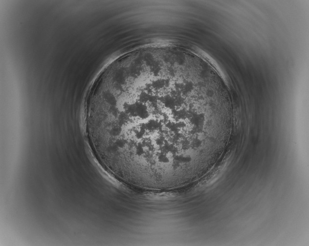 X0000112380851200908271318