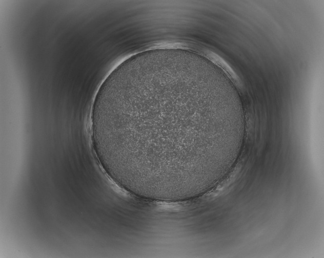 X0000112380852200908271318