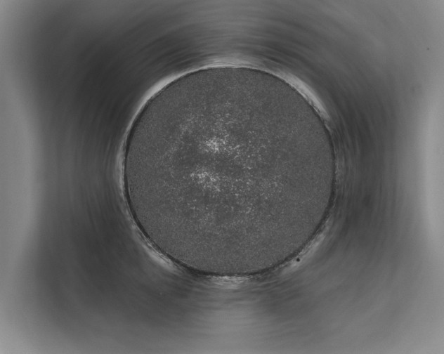 X0000112380854200908271318