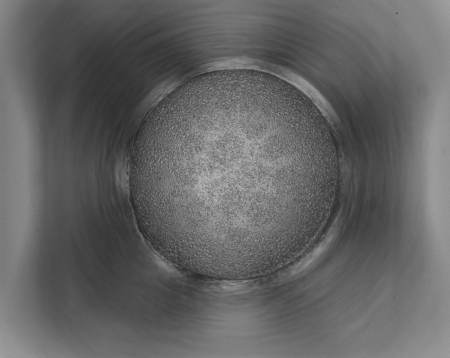 X0000112380857200908271318