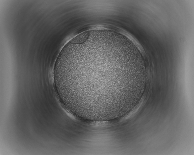 X0000112380858200908271318