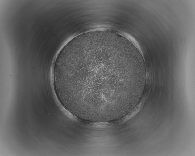 X0000112380859200908271318