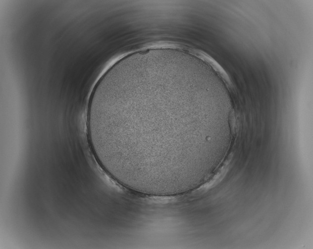 X0000112380860200908271318