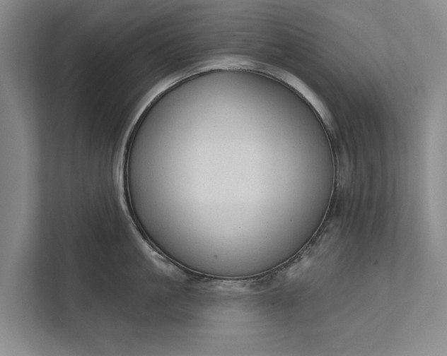 X0000112380861200908271318