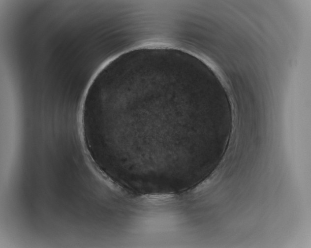 X0000112380864200908271318