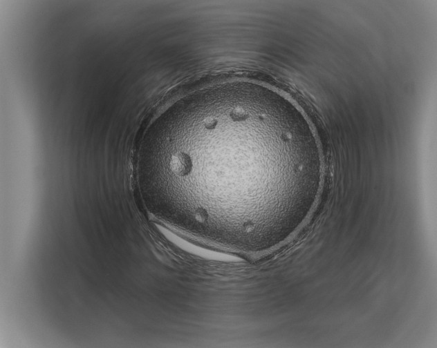 X0000112380868200908271318