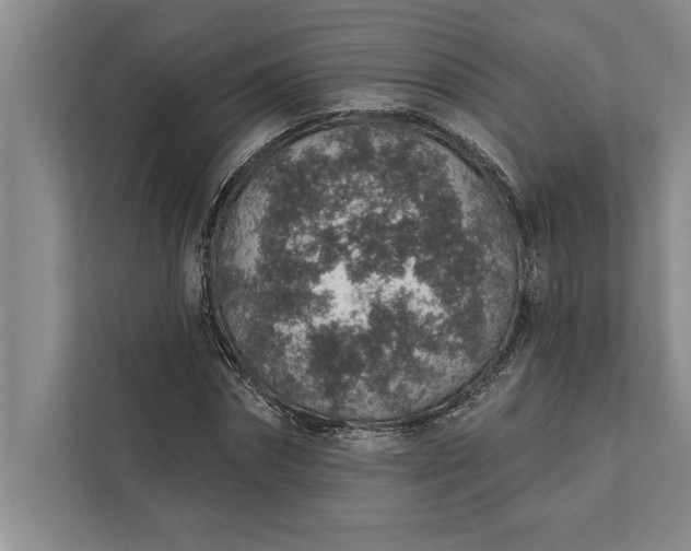 X0000112380874200908271317