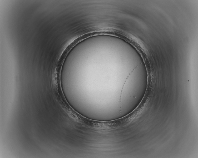 X0000112380875200908271317