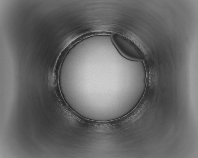 X0000112380876200908271317