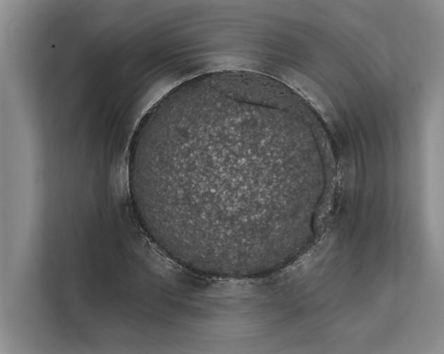 X0000112380877200908271317