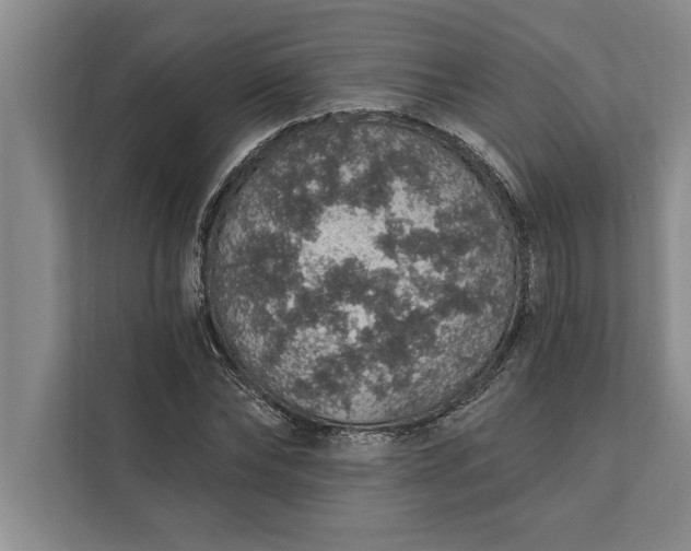 X0000112380878200908271317