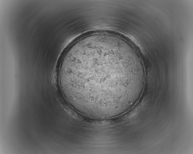 X0000112380879200908271317