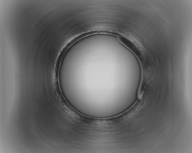 X0000112380880200908271317