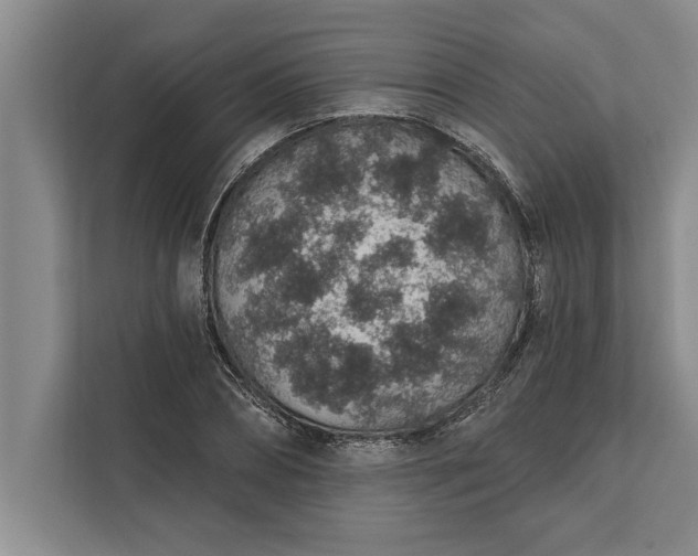 X0000112380882200908271317