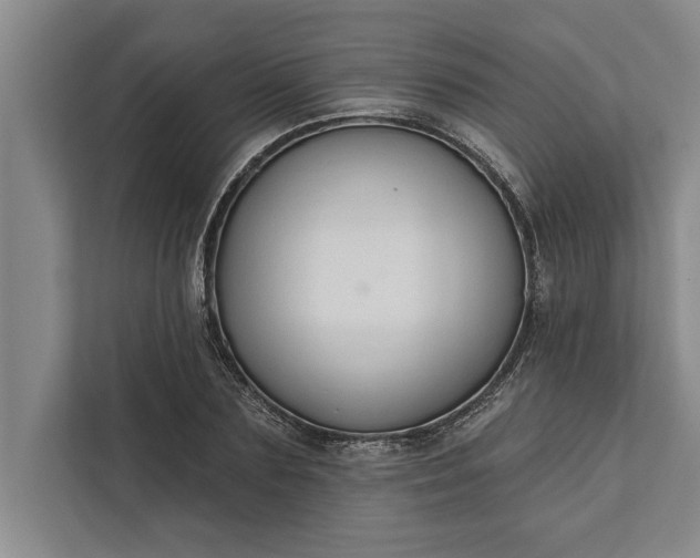 X0000112380883200908271317