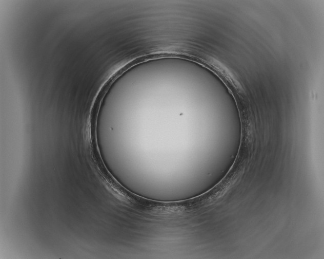 X0000112380884200908271317