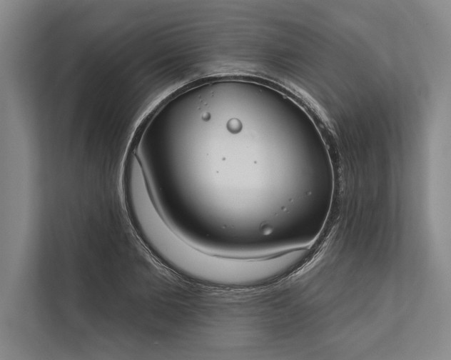 X0000112380885200908271317