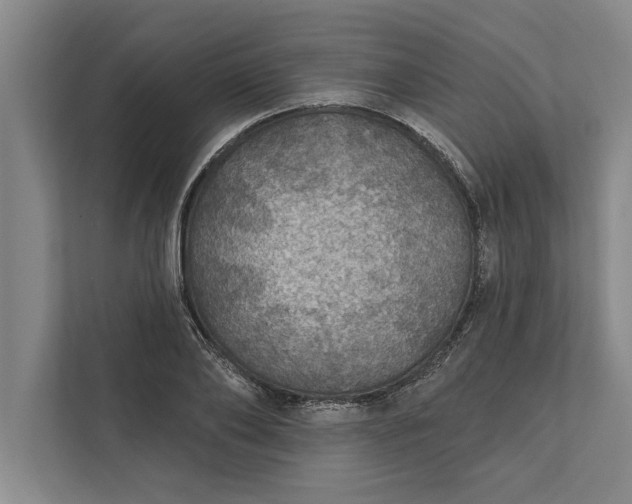 X0000112380886200908271317