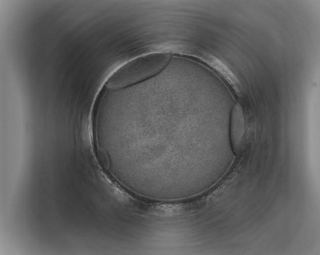 X0000112380888200908271317