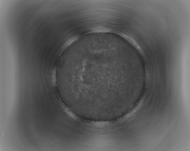 X0000112380889200908271317