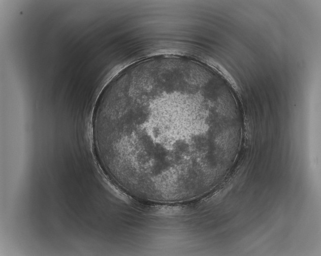 X0000112380890200908271317