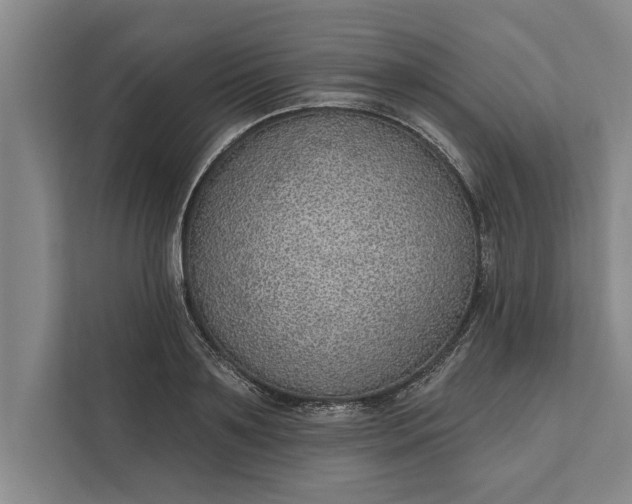 X0000112380891200908271317