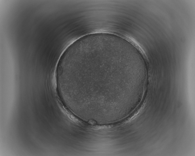 X0000112380892200908271317