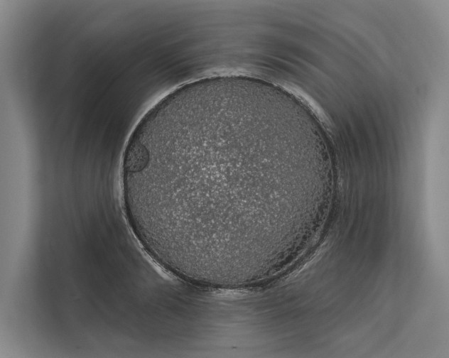 X0000112380894200908271317