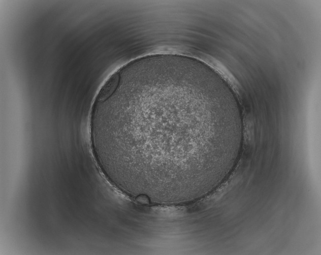 X0000112380896200908271317