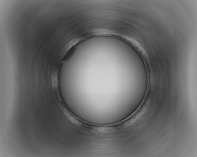 X0000112380897200908271317