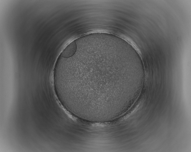 X0000112380898200908271317