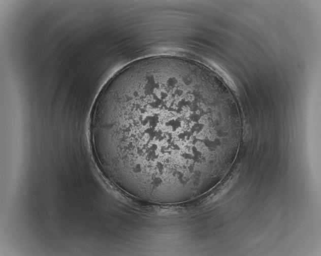 X0000112380899200908271317