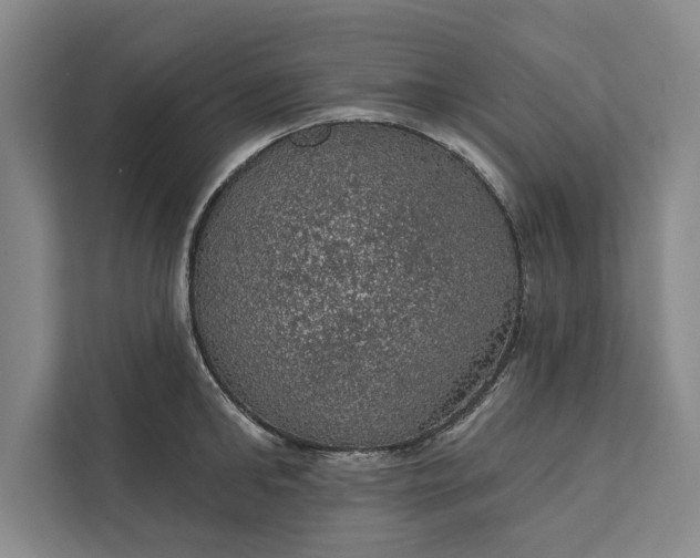 X0000112380902200908271317