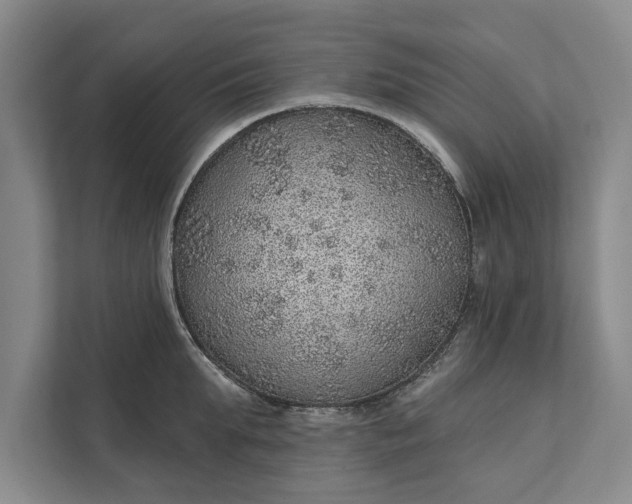 X0000112380903200908271317