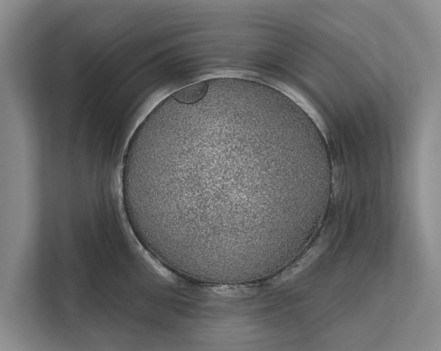 X0000112380906200908271317