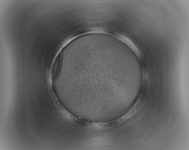 X0000112380908200908271317