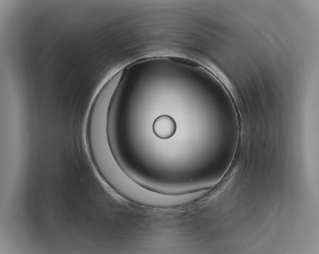 X0000112380909200908271317