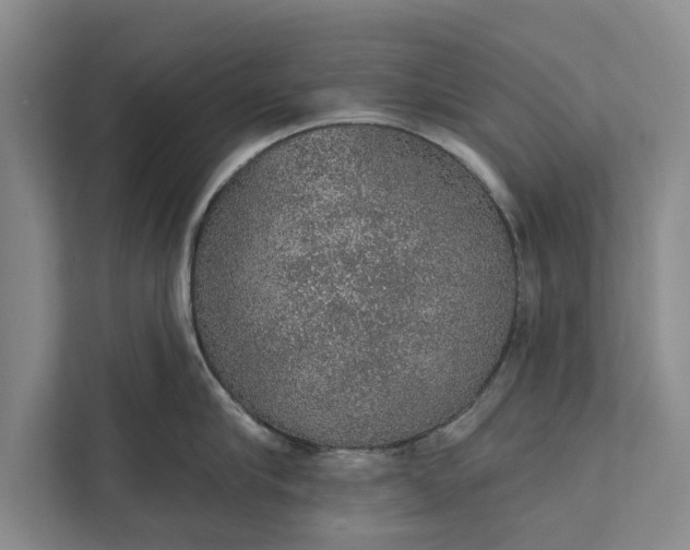 X0000112380910200908271317