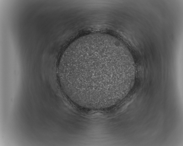 X0000112380913200908271316