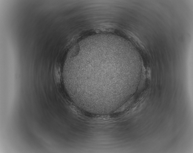 X0000112380915200908271316