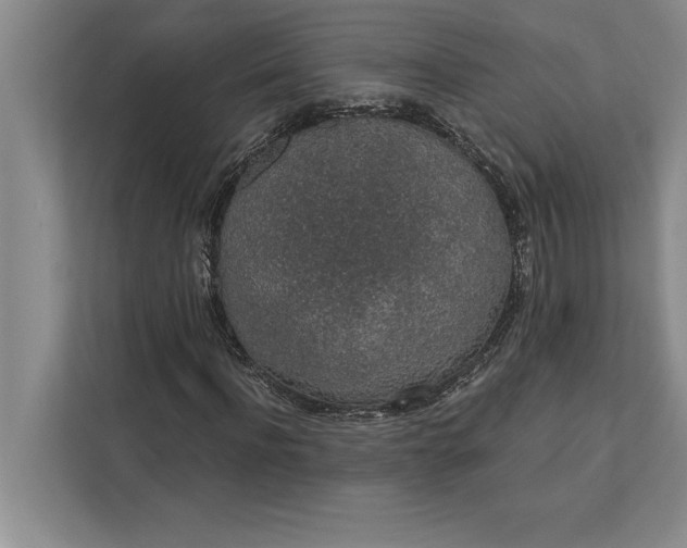 X0000112380916200908271316