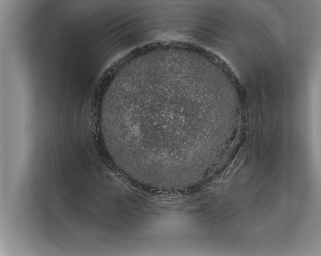 X0000112380919200908271316