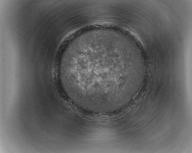 X0000112380920200908271316