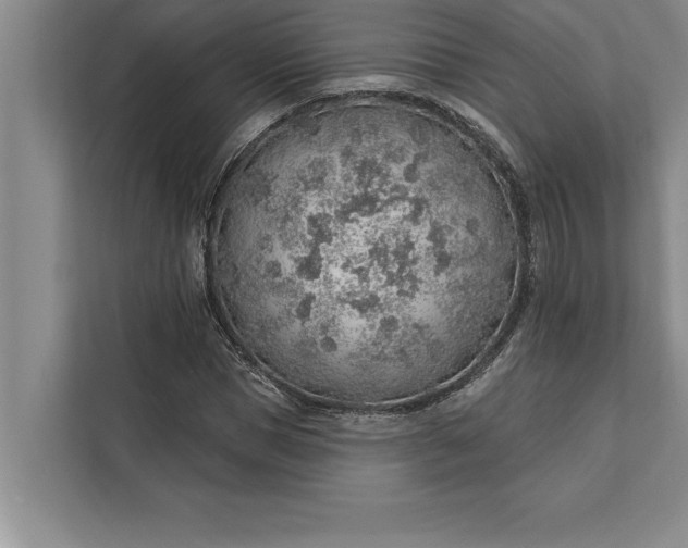 X0000112380921200908271316