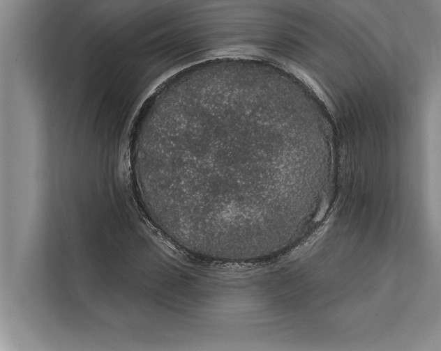 X0000112380923200908271316