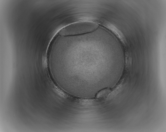 X0000112380924200908271316