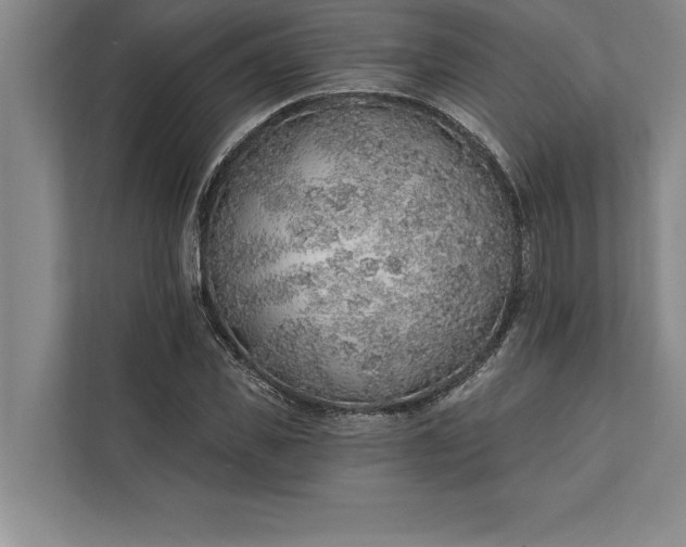 X0000112380925200908271316