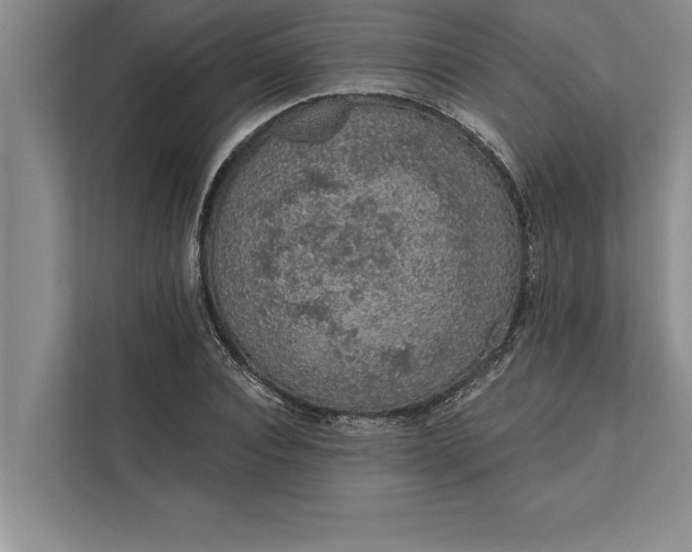 X0000112380928200908271316