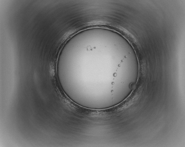 X0000112380929200908271316